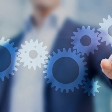 IT Project Management IT Project Management